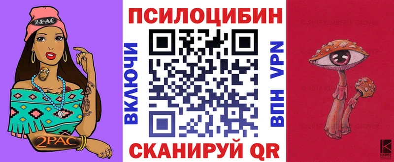 Купить  Дубовка  Галлюциногенные грибы мухоморы 