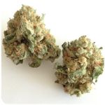 Шишки "White Widow"  (Белая вдова)  Гидропоника -  Бошка VHQ в Дубовке